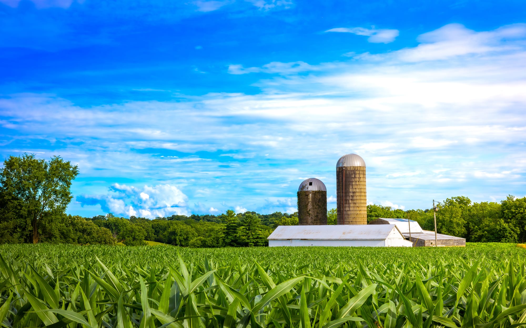 Farm and silos under blue sky