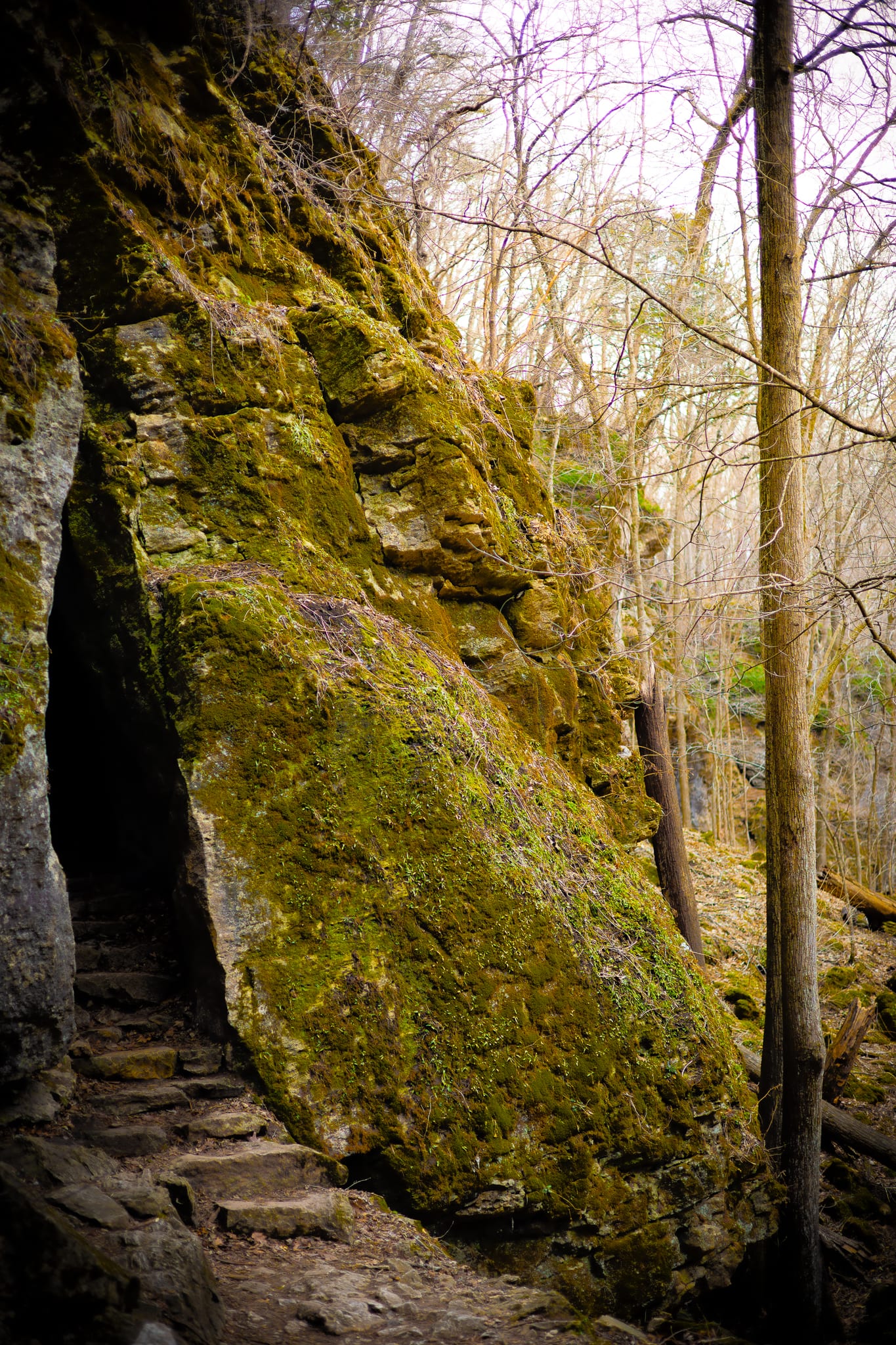 Moss-covered rock face with stone steps