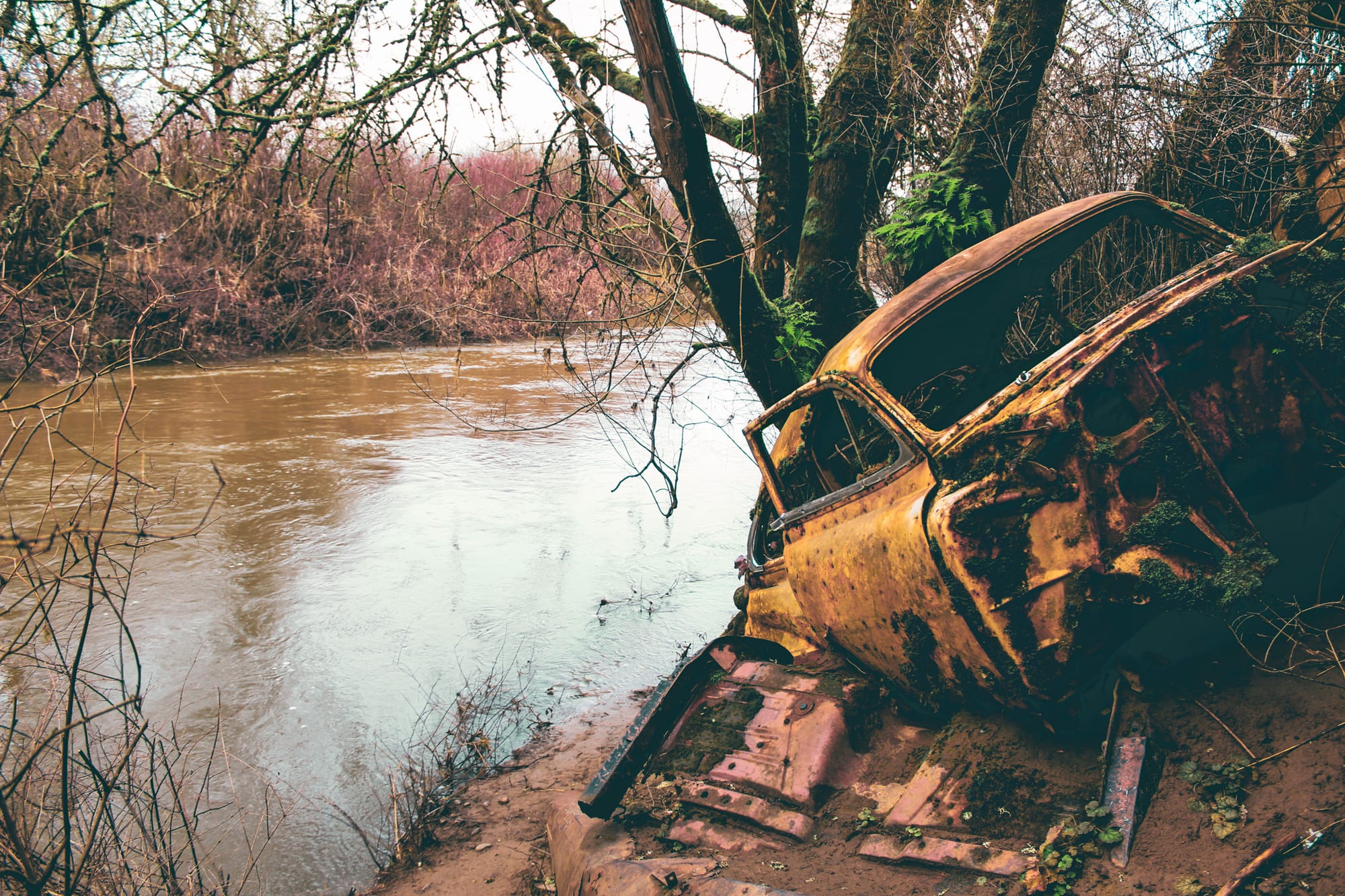 Rusted car abandoned by a muddy river